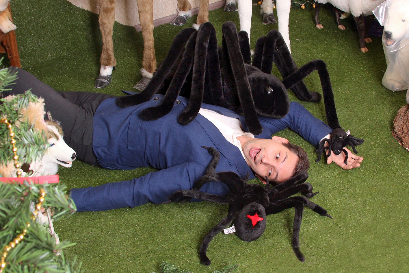 Мягкая игрушка Гигантский черный паук, 75 см  